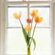 This is a picture of Spring flowers in a house window to represent this blog - Why Spring is the Perfect Time to Move Home – and How to Do It Right